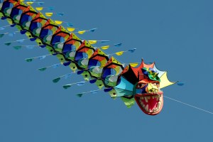 yann-pelcat-cerfs-volants-2012-691